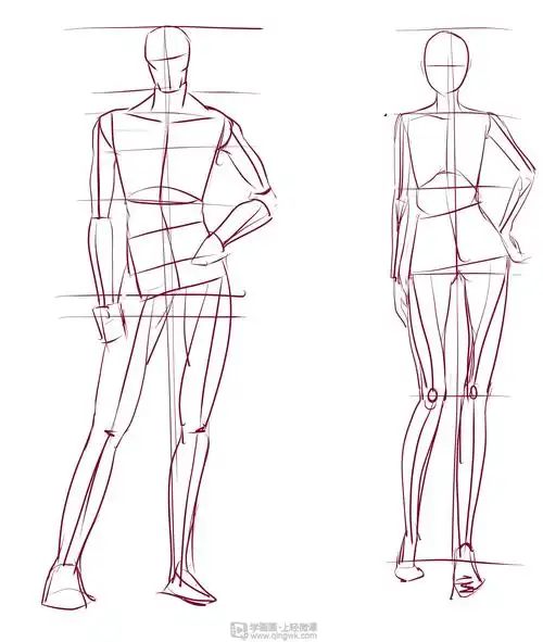 临摹人体人体入门绘制提升练习