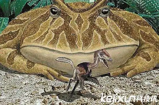 盘点史前巨型怪兽 魔鬼蛙巨蜘蛛吃恐龙令人惊叹不已!