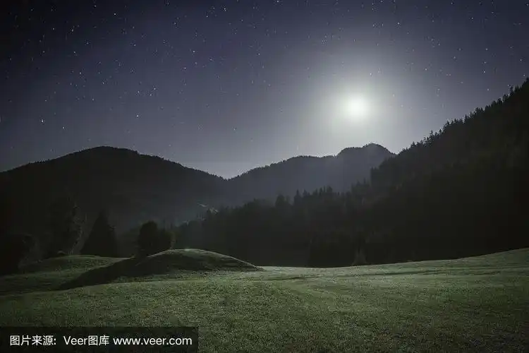 月光下的阿尔卑斯山草地