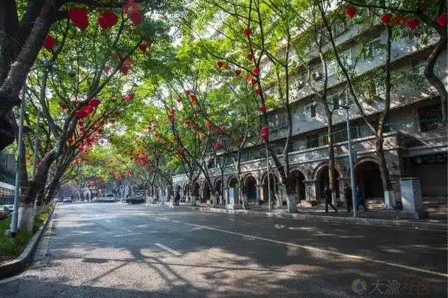 主城最美路 一条抗战文化之路----中山四路