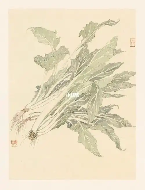 原创  #艺术  #国画  #写意国画  #青菜  #果蔬国画写意