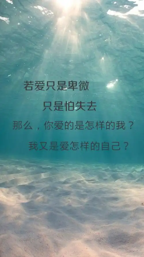 爱,不是卑微的.