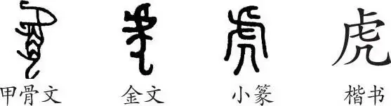 "虎"是象形字.甲骨文是头朝上,尾朝下,腿朝左的一只虎,身上有花纹.