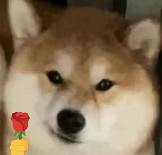 一组可爱的狗狗送花花表情包