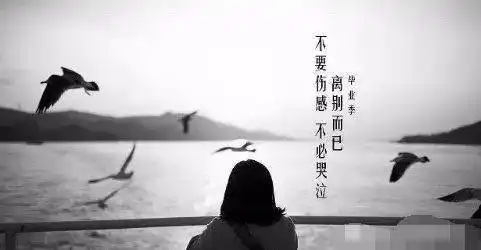 很烦很累的心情句子,伤感无奈,还没看完眼眶就湿了!