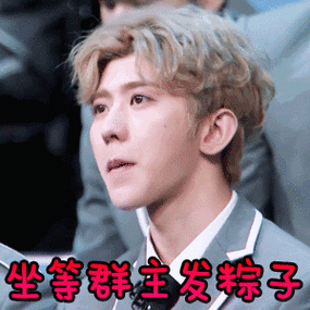 坐等群主发粽子