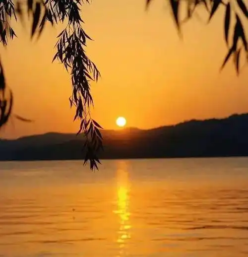 背景图|ins风高级感qq背景图戳