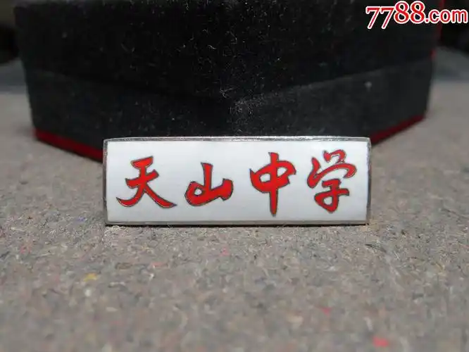 早期上海市天山中学珐琅铜章
