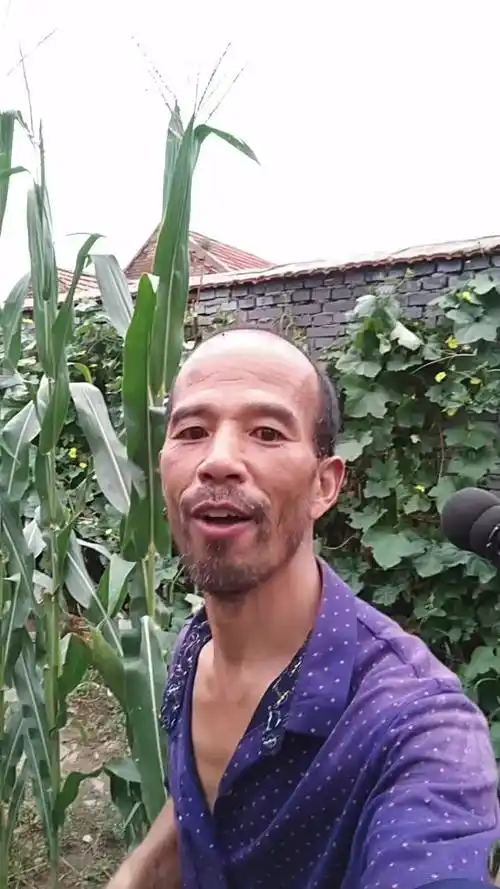 本亮大叔神曲燃烧卡路里