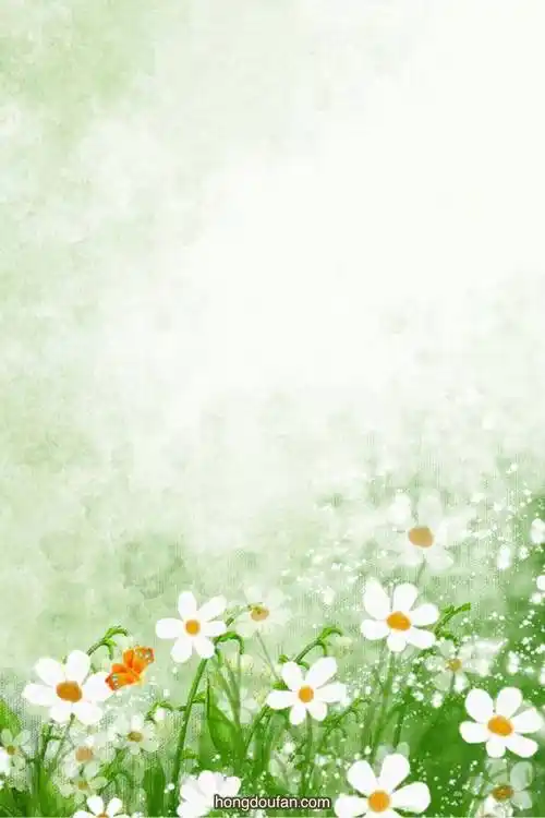 a4打印,plan,to do list,weekly plan,不要塑料,世界地球日,作文封面