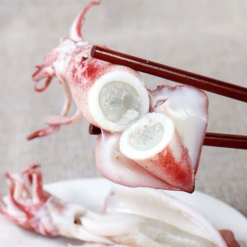 东山小管母鲜活大鱿鱼母管海鲜活冷冻笔管鱼满仔母管海兔子400g