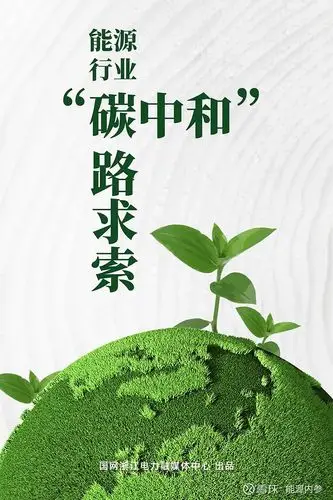 国家电网五要落实碳达峰碳中和目标