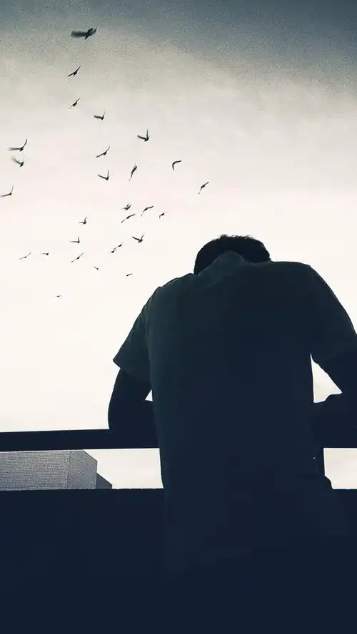 有没有像这样的壁纸或图片看着很孤独安静