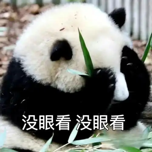 花花被遗忘在外场饲养员被解雇