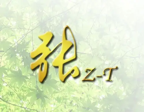 展开全部 张字的图片 图片右下角有 z-t  还有什么要求都可以修改