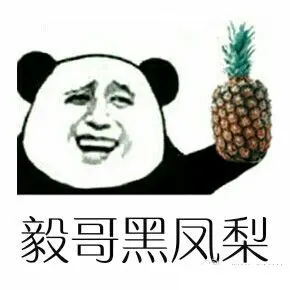 给成毅的情书熊猫搞笑毅哥黑凤梨gif动图_动态图_表情包下载_soogif