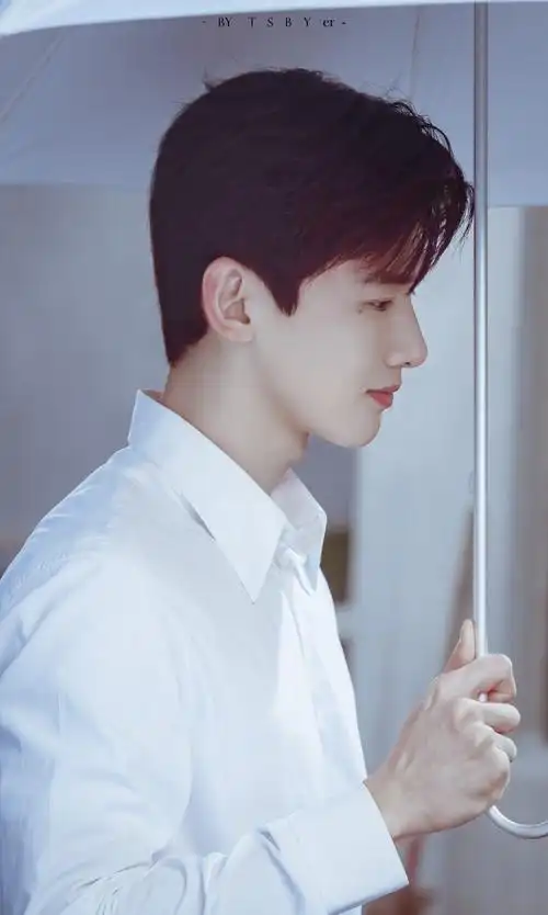 白敬亭cr团扇布圆儿