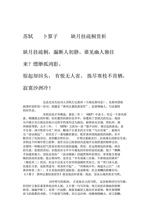苏轼卜算子-缺月挂疏桐赏析精品资料.pdf 4页
