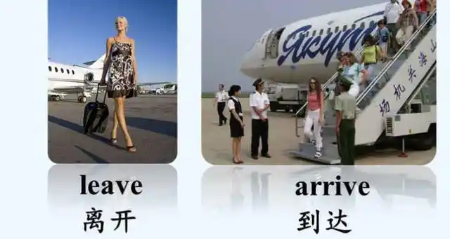 arrive和reach区别