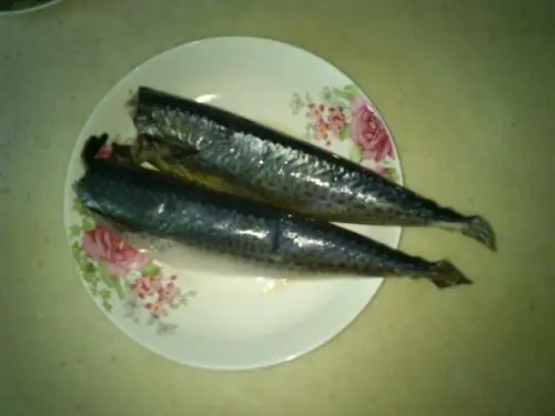 青条鱼的介绍