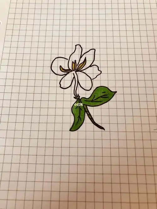 画画打卡  #简笔画临摹  #零基础学画画  #茉莉花  #花卉简笔画