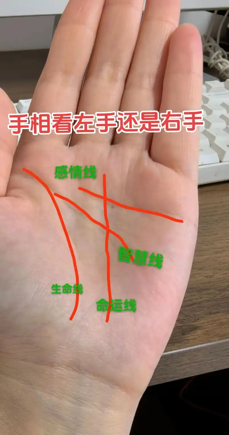 看手相很多人都认为是"男左女右" 其实这种看法并不是特别正 - 抖音