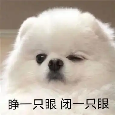 无水印很有趣的微信聊天表情为我们的无语干杯