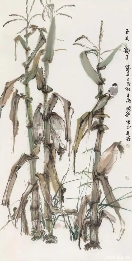 田野畅想曲:马顺先的玉米写生