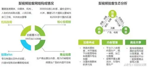 抖音上的盈利模式【相关词_ 抖音的盈利模式】