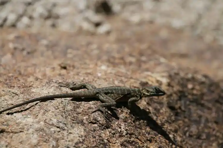 被风吹过的夏天