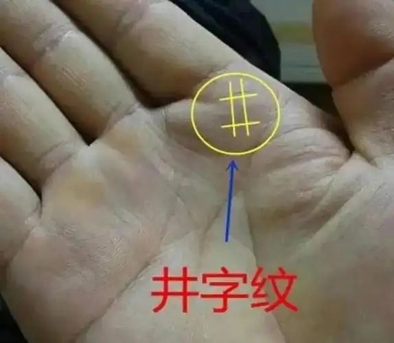 手相中指下井字纹 中指下有井字纹的征兆
