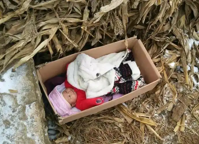 收养了百名弃婴,其规模已相当于一家民间孤儿院但火灾之后收养被叫停