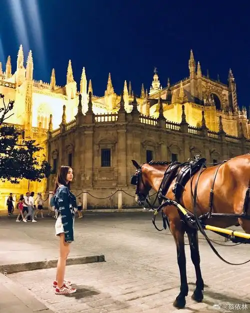 蔡依林看着马车,背后是城堡,这也太像是专辑的封面或是mv里的场景,谈