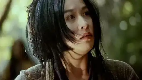 你唯一能做的就是不要忘记|东邪西毒|王家卫|刘嘉玲|桃花|剑客_网易