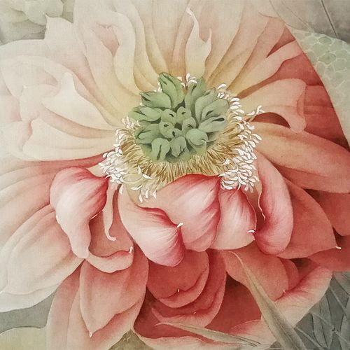 工笔画白描底稿荷花实物勾线打印稿杨冬冬冬冬暮云国画