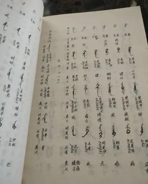 满语为何退出了历史舞台历史上任何一个少数民族语言都会被汉化