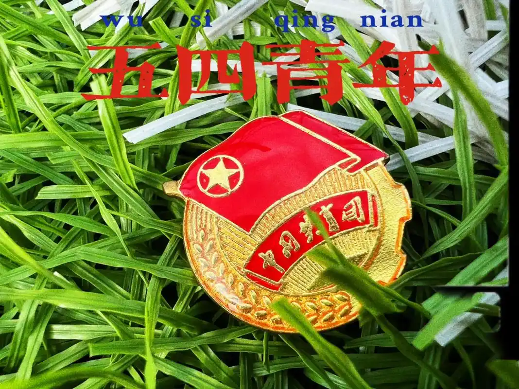 我与团旗团徽合影 #阳光正好微风不燥 #初心不变 青春绽芳 - 抖音