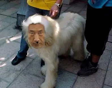 给小泉出个写真集