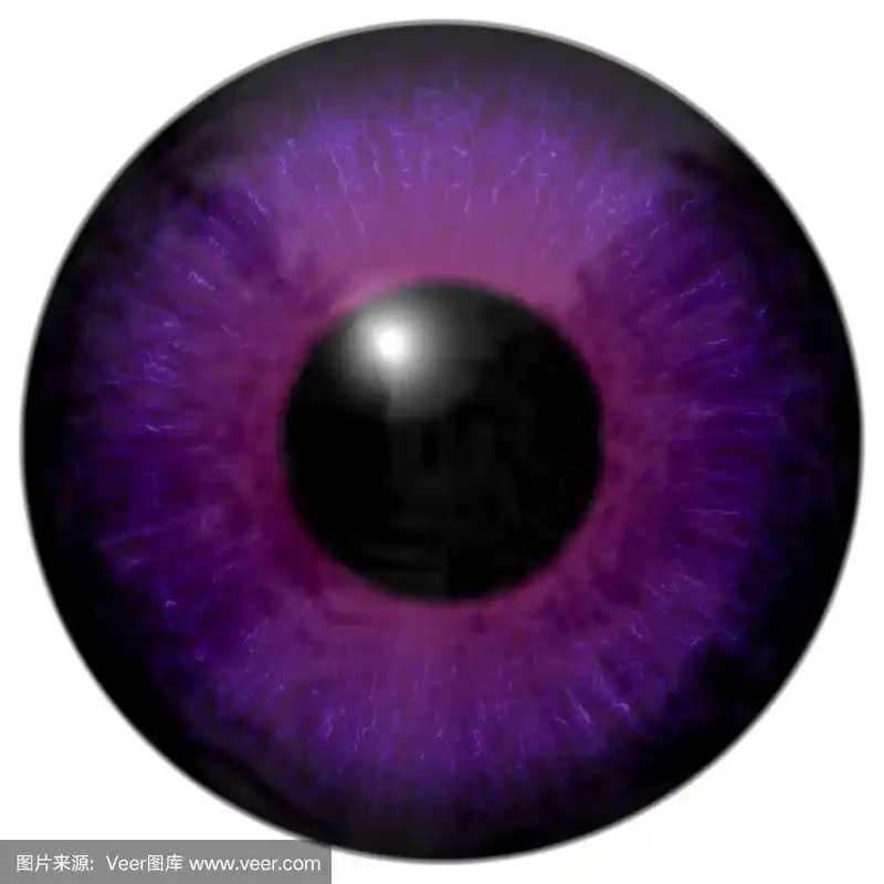 眼睛的细节有紫色的虹膜和黑色的瞳孔