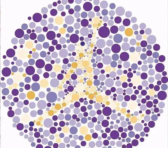 新版驾考色盲检测图,若有2张都看不清,将和驾照"