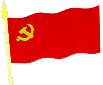 355_291gif 动态图 动图