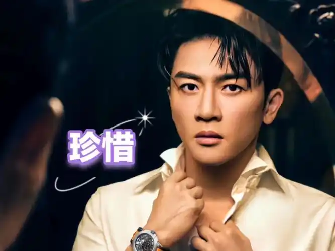 苏有朋的《珍惜》少年青春的回眸