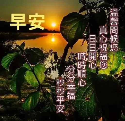 清晨漂亮鲜花早上好问候祝福动态表情图片最新早安问候祝福图片带字
