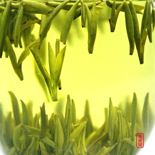 2021新茶春茶蒙顶黄芽黄茶头采嫩芽茶叶四川蒙顶山茶250g鲜香柔和