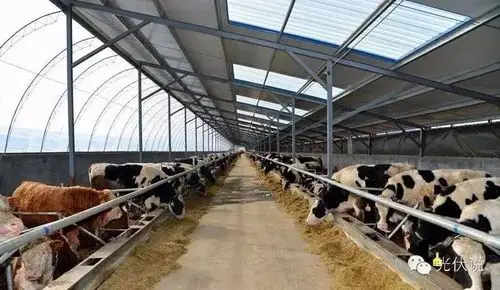 no.3 光伏养殖农业大棚