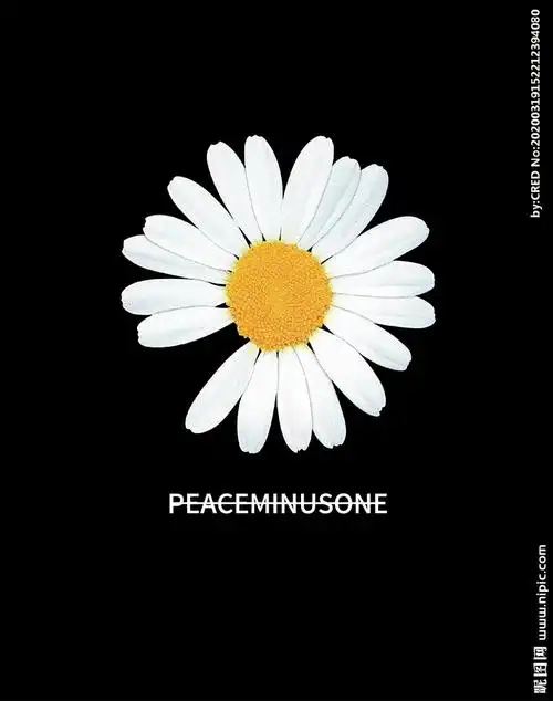 cmyk40共享分举报收藏立即下载关 键 词:权志龙小雏菊 权志龙雏菊