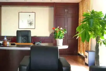 老总办公室摆放什么植物好这8样植物寓意好漂亮好养