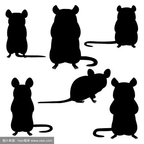 一组老鼠剪影