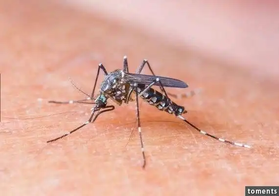 10种超恐怖的「杀人怪物」竟都是这样杀人的!