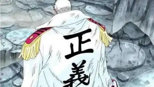 海贼王最厉害的四件衣服为什么比较厉害